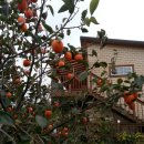 힐링캠프예서원 이미지