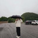 [젊은달와이파크] 영월 비오는 날 가기 좋은 실내 전시 인생사진 찍기