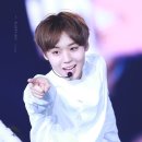 플러피(fluffy) 이미지