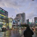 하니에스엠피 | [서울 강북구] 수유 수분폭탄 속눈썹펌 친절한 로즈에스엠피 추천