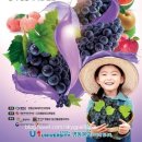청산농협능월지점 | 옥천군 청산면 청산농협능월지점 찾아기기