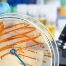 고온환경자원 이미지