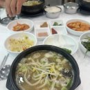 이채원 국밥 이미지