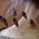 도현한의원 이미지