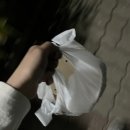 [춘천/후평동] 춘천 배달/포장 떡볶이집 추천 &#39;신떡순 신천할매 떡볶이&#39; 포장 후기