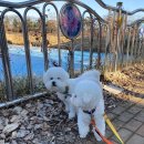 몽꾸르펫트하우스 | 2박 3일 호텔링, 미안하지만 나름 재미있게 지내던데?