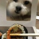 김밥주세요 이미지