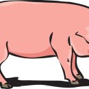 백돼지농장 이미지