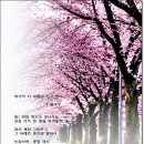 더 머물다 이미지