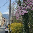 안지랑어린이공원 수 이미지