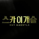 스카이개슬 이미지