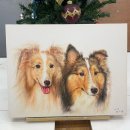 (주)토리아트 이미지