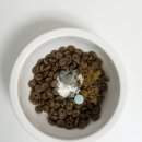 허동물병원 | 강아지 소변검사키트로 1:1 맞춤사료 펫누리 비스포크유