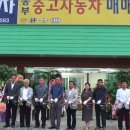 용문상사 이미지
