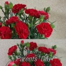 사림동139 이미지