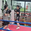 복싱매니아짐 이미지