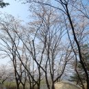 숲속에 안뜰 이미지