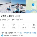 서울랜드 눈썰매장 2025년 1월 이미지