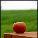 고창농장 이미지