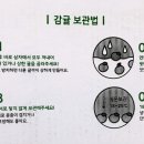 제주우표사 이미지