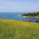 청산도횟집 이미지