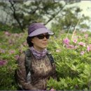 모암마을 이미지