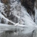 다운 행정사 사무소 이미지