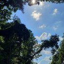 소양강자전거길 이미지