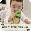 8개월 아기 빨대컵 추천 맘스모도 이지컵 솔직후기