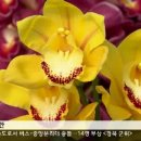 종아농장 이미지