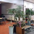 비젼실내골프연습장 이미지