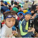 강철태권도 이미지