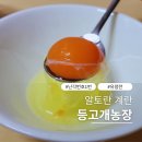 흙과 삶 농장 | 난각번호1번 계란 등고개농장 유정란 비린내 없이 신선해요