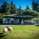 기승농장 이미지