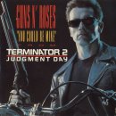 Guns N' Roses - You Could Be Mine 이미지