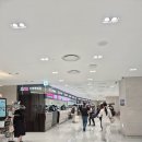 인식카닥터 | [2025괌] 인천공항 제2터미널/진에어 LJ913/드림 렌터카/에어비앤비 #투몬비치 5분거리/Stonefish Grill...