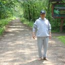 대지-걷기 이미지