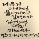붉은수탉 이미지