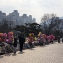 백운행복 | 원주 백운아트홀, 사랑의하츄핑 뮤지컬 후기