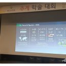 엔젤라아로마솝 이미지