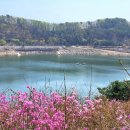 호명호수(갤러리) Daum카페