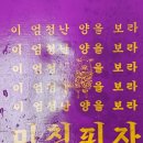 미친피자 동대문직영점 이미지