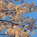 에스앤에이치(S&H) 이미지