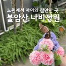 불암산나비정원 | 불암산 나비정원 놀이터 카페 포레스트 메뉴 주차