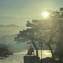 아랫목갈비명가 | [충북단양] 22.01.01-22.01.02 새해 해돋이 여행