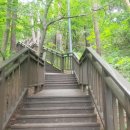 해오름 유아숲체험원 이미지