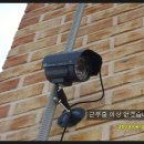 장미나라 이미지