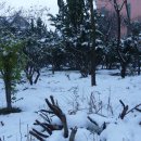 정읍농장 이미지