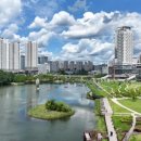 호수공원6로 이미지