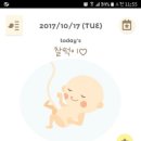 서대산드림캠핑파크 이미지